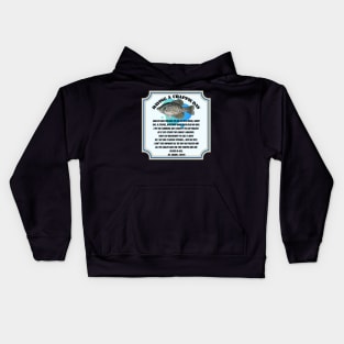 Having a Crappie Day Fritts Cartoons Kids Hoodie